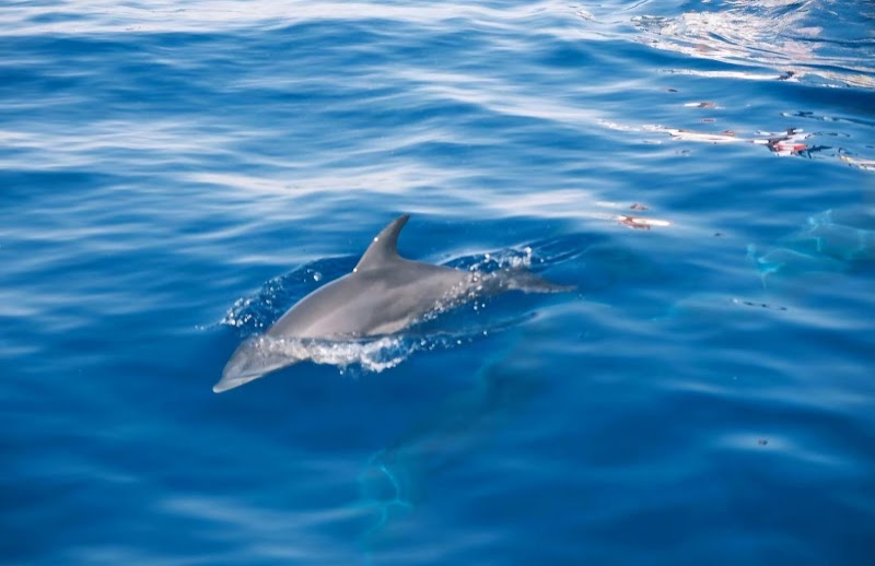 Happy Trip Hurghada - Photo 3