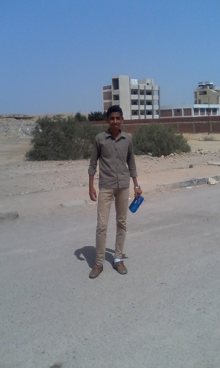 Ibrahim Elgaafary School - Photo 2