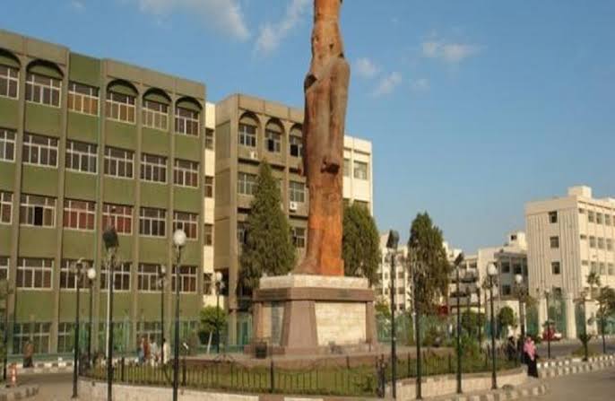محافظة الشرقية - صورة 1