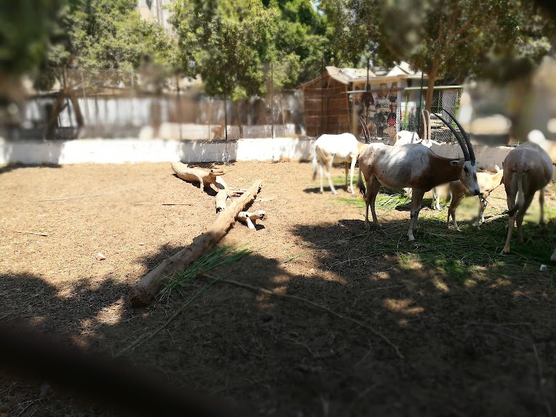 Fayoum Zoo