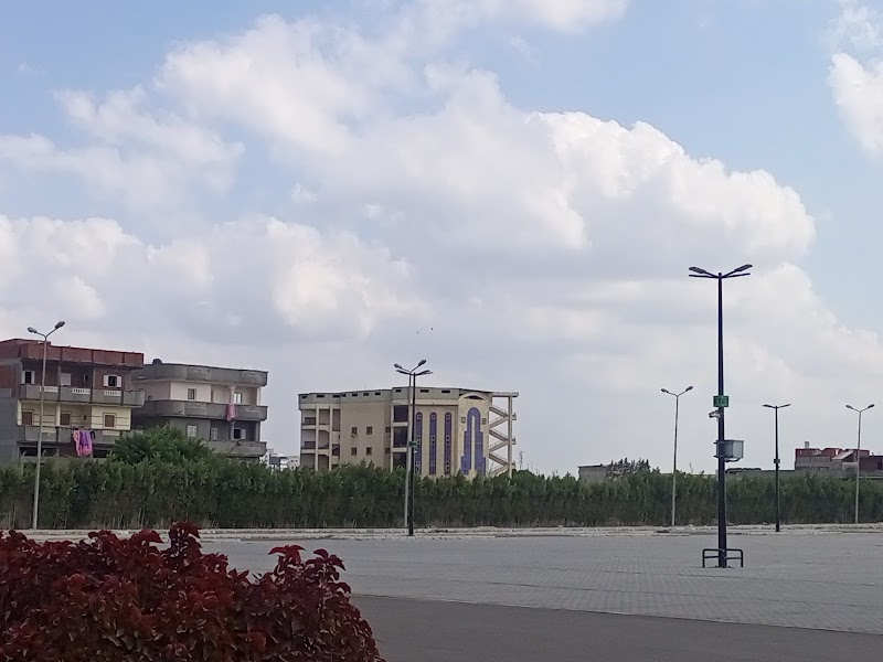 المعهد العالي للخدمة الاجتماعية بدمنهور - صورة 3