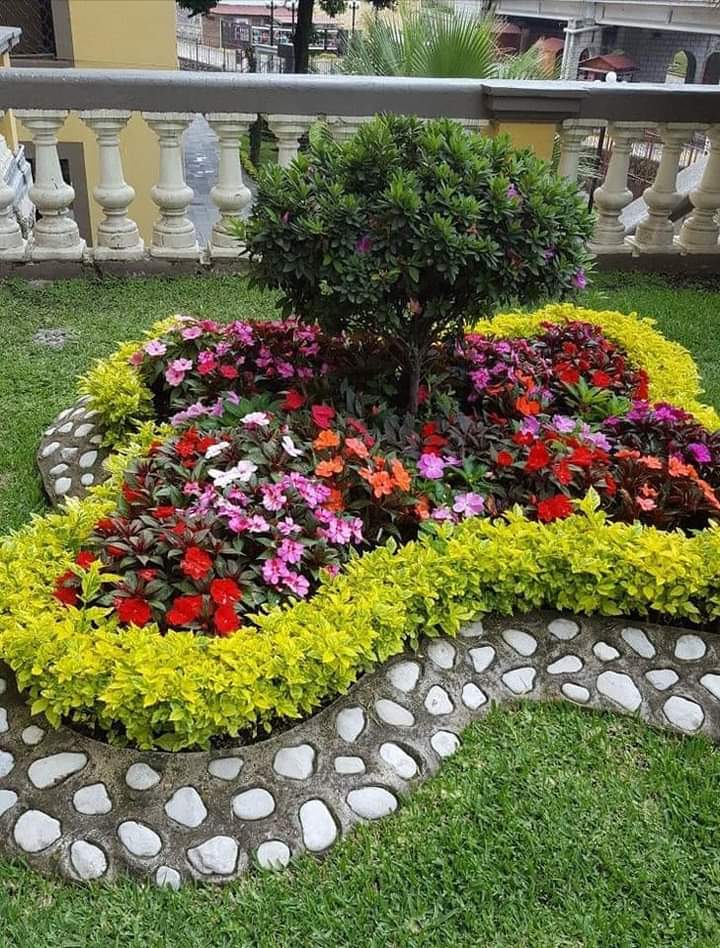 مشاتل السلام بالغربية - صورة 3