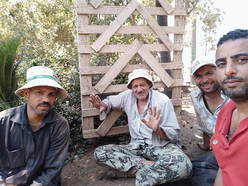 مشتل الواحه الخضراء لنباتات الزينه