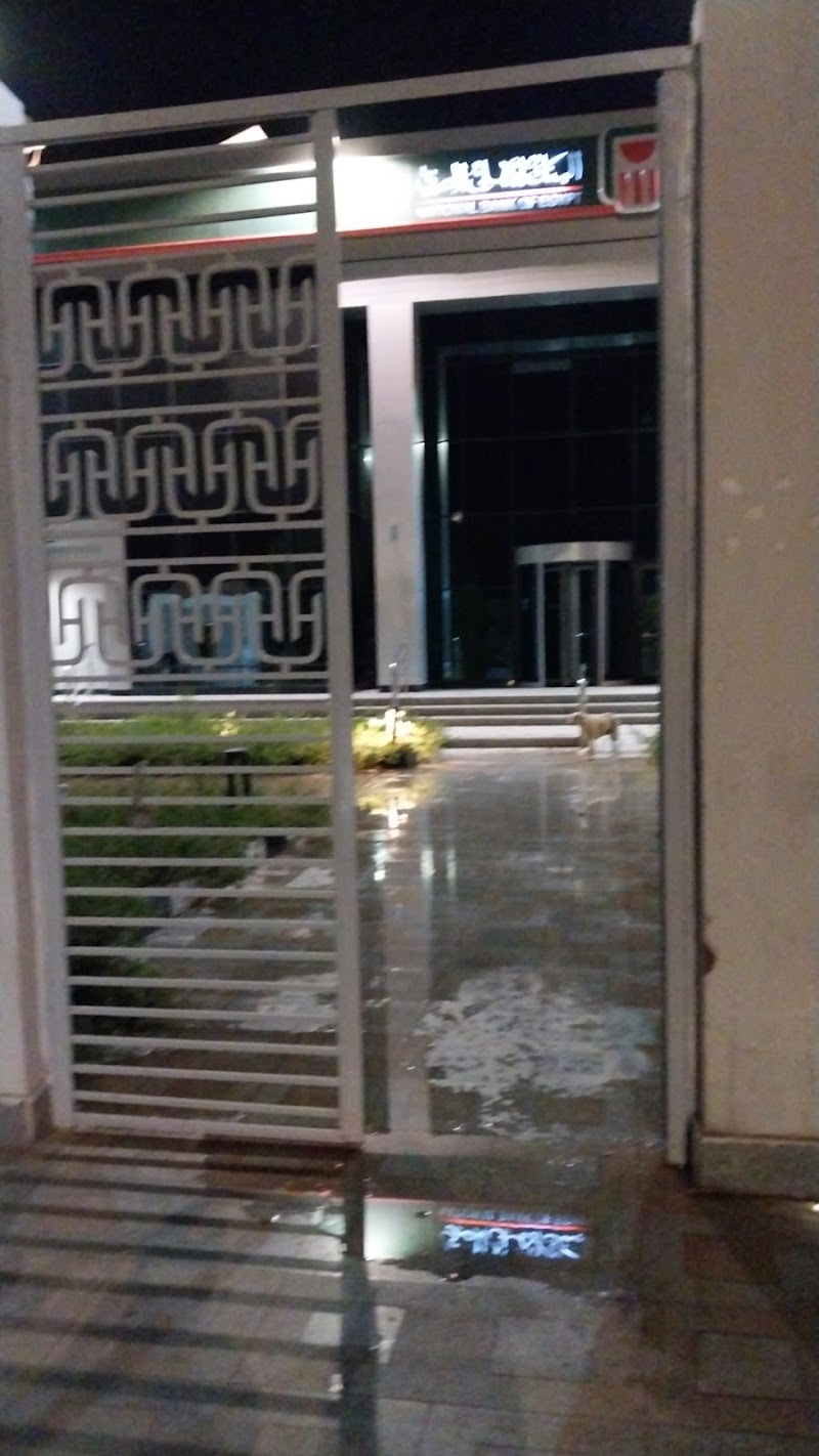 البنك الاهلى المصري فرع اسوان الجديدة - NBE New Aswan Branch - Photo 1