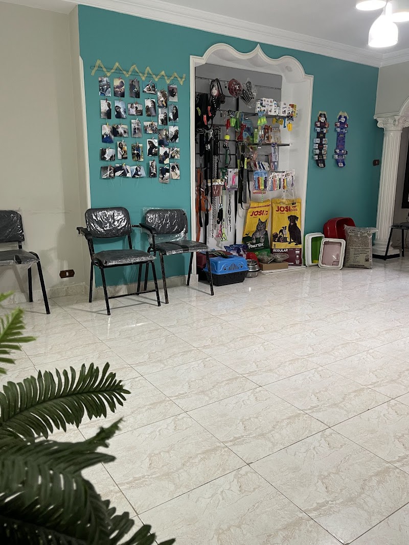 Dr. Strange Veterinary Clinic - عيادة بيطرية - Photo 2