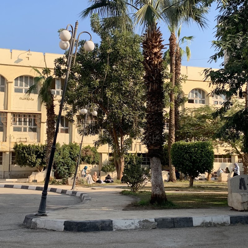 كلية الزراعة جامعة الفيوم - صورة 2