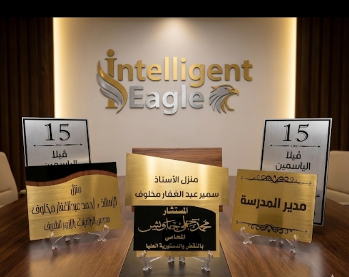 Intelligent Eagle - صورة 3