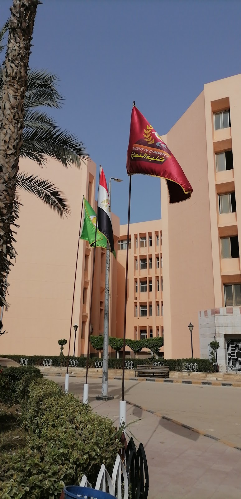 Faculty of Business, Menoufia University - Photo 3