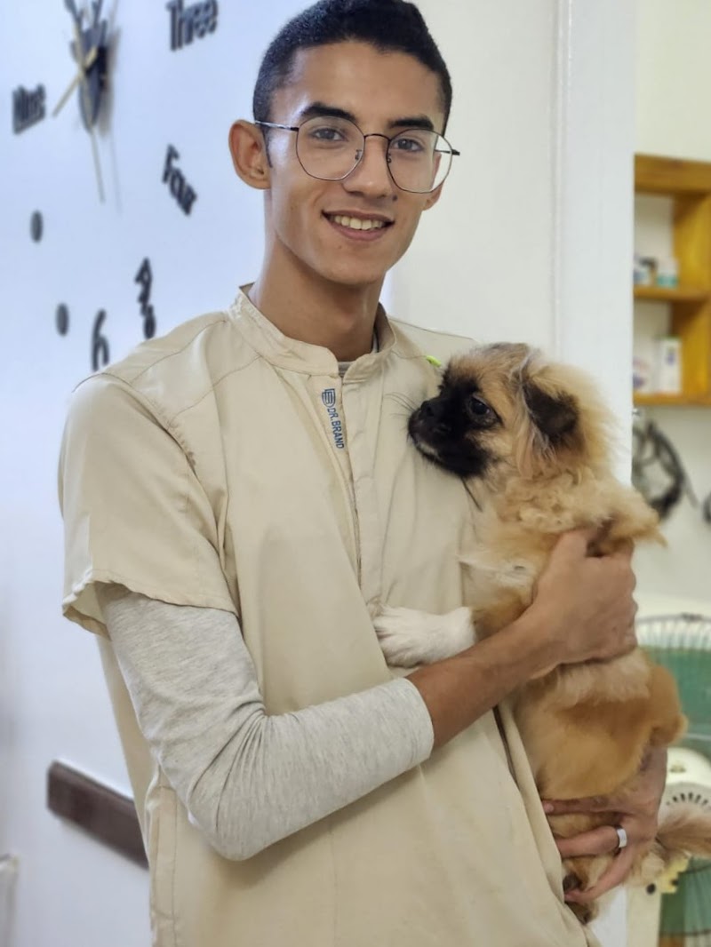 العيادة للحيوانات الأليفة دكتور احمد سامح - صورة 2