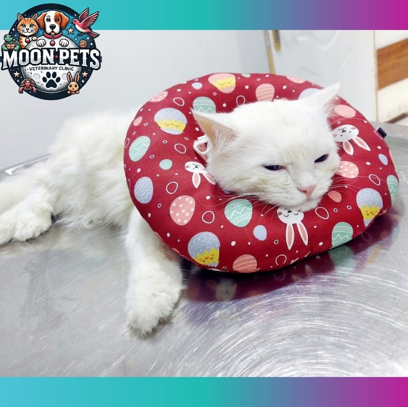 Moon Pets Veterinary clinic - Photo 1