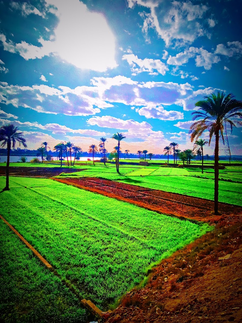 قاعة لاروز - صورة 2