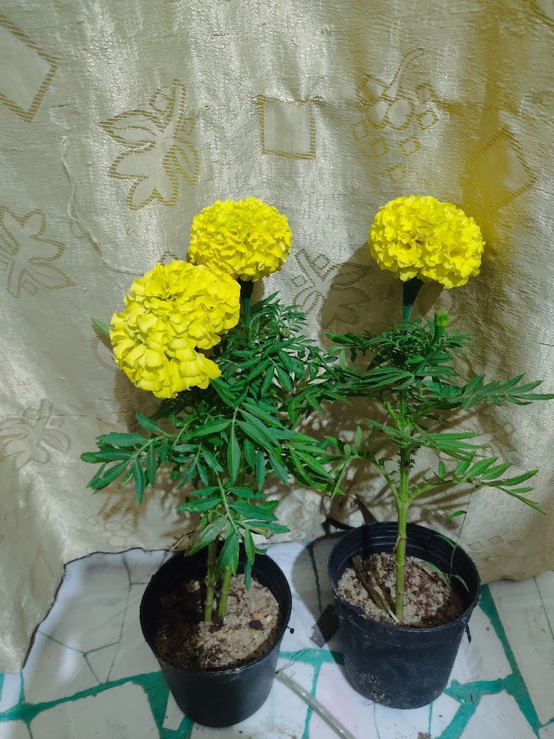 . - Photo 3