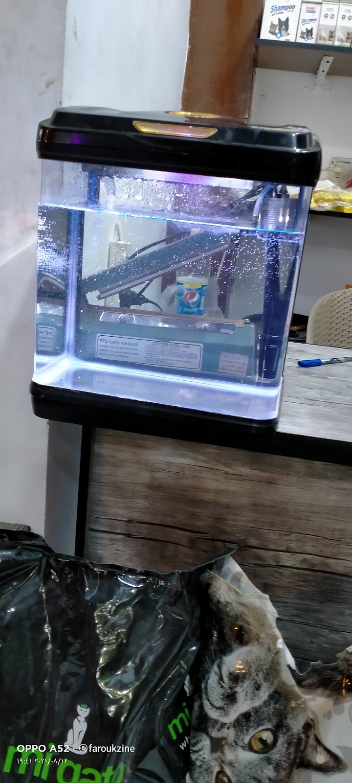 كريزي بيتس2 - Photo 3