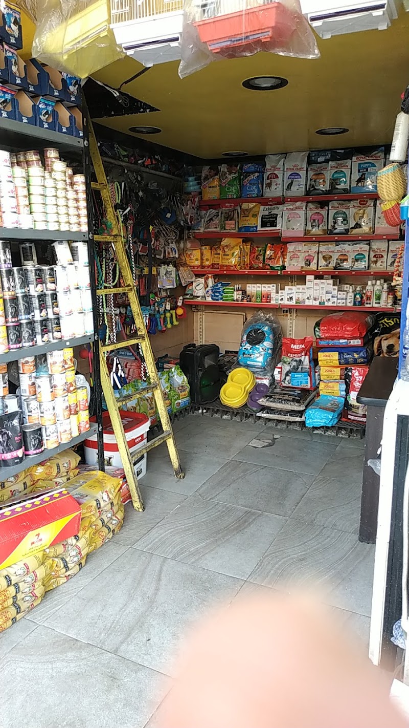 بابا دوجز Papa dogs