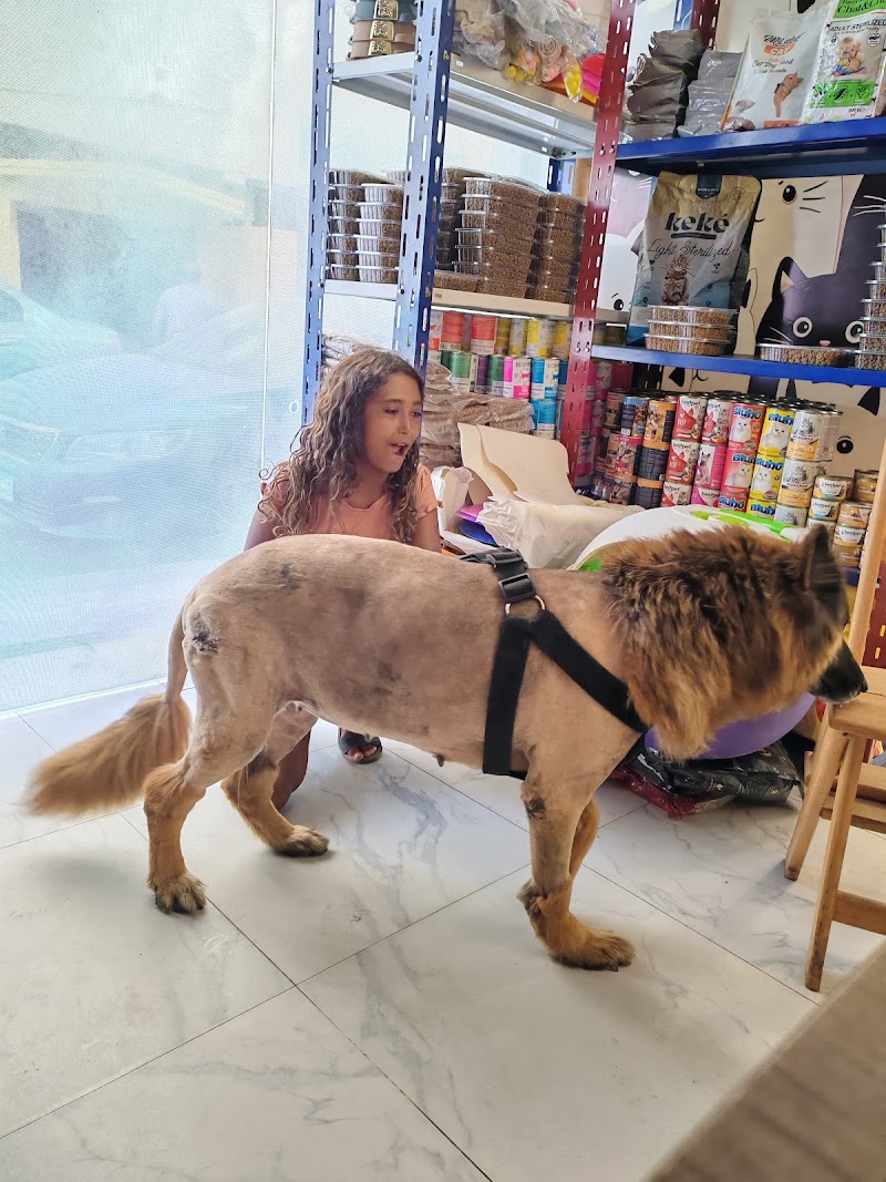 Lucky Pets Clinic - صورة 3