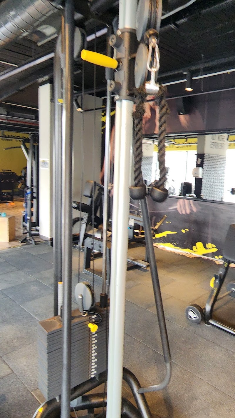 Gold's Gym Zagazig - صورة 1