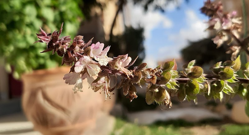 ستوديو العريـس2 - Photo 3