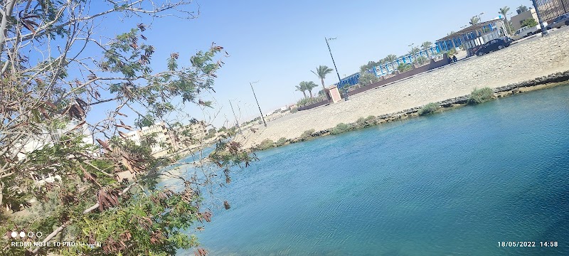 الهيئة العامة للتأمين الصحى - السويس - صورة 3