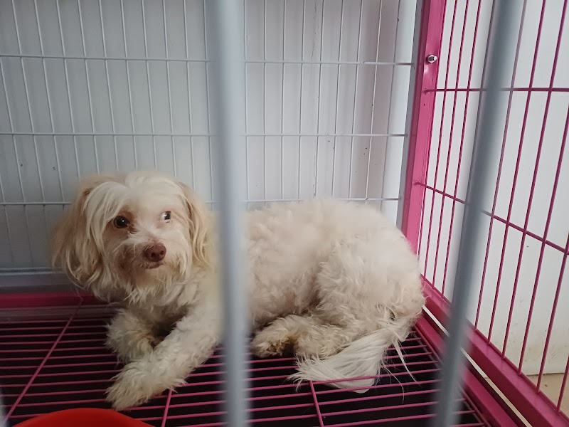 Total pet care center (Dr Mahmoud Helmy) - صورة 2