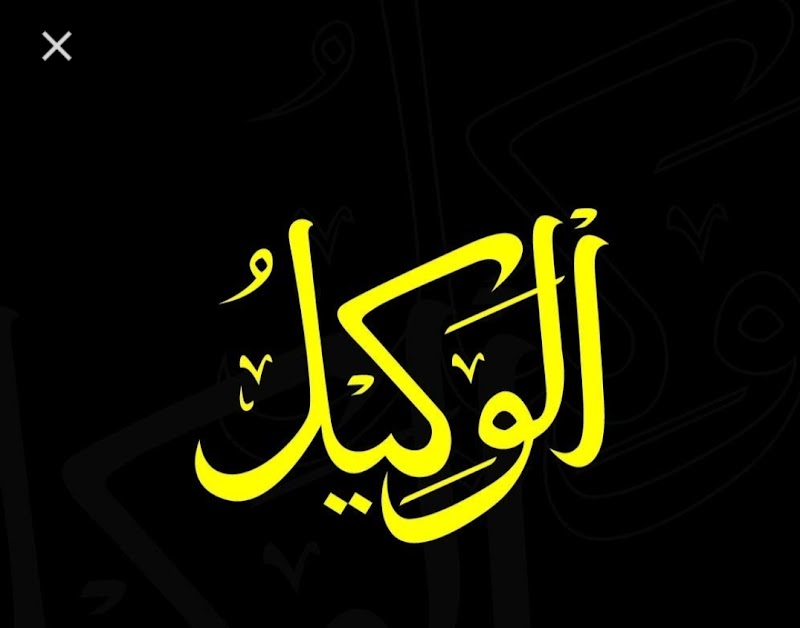 معرض سيارات الوكيل