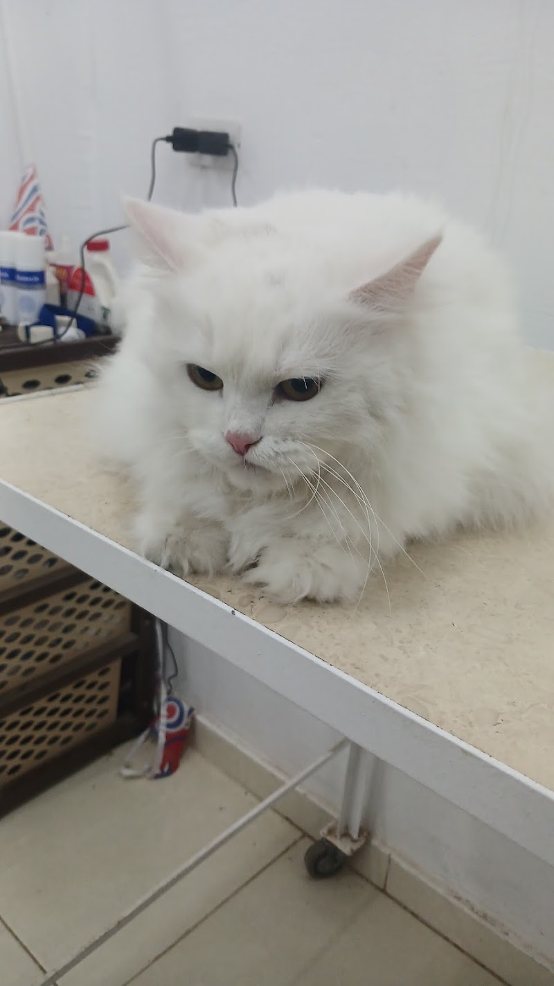 Royal pet clinic - صورة 1