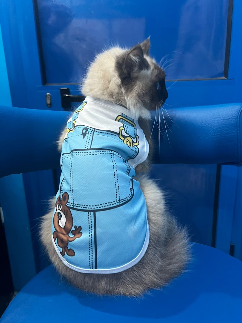 Pet Paradise Vet Center مركز بيطري للقطط والكلاب - صورة 3