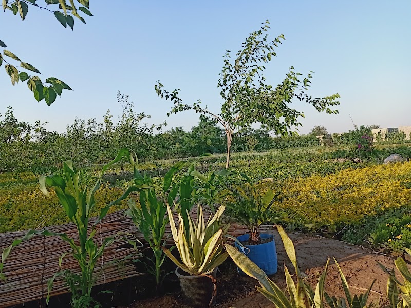 GAD landscape