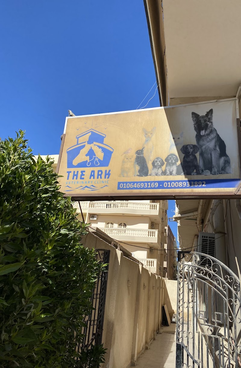 The Ark veterinary clinic, hurghada, egypt - Photo 2