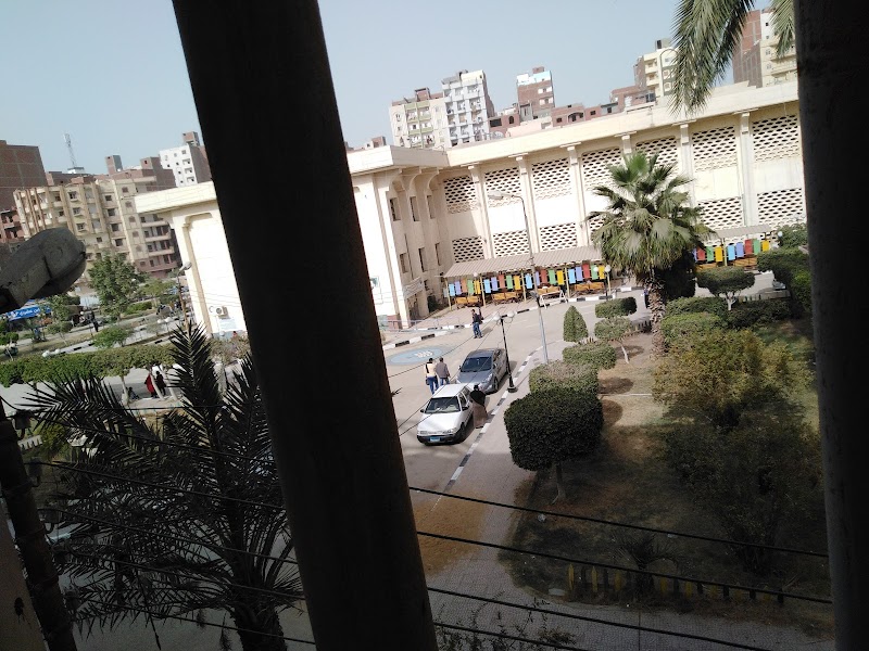 كلية التربية - جامعة الفيوم