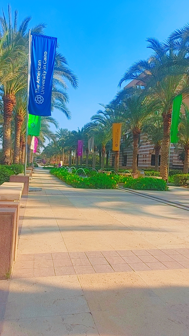 كلية العلوم و الهندسة الجامعة الأمريكية - صورة 3