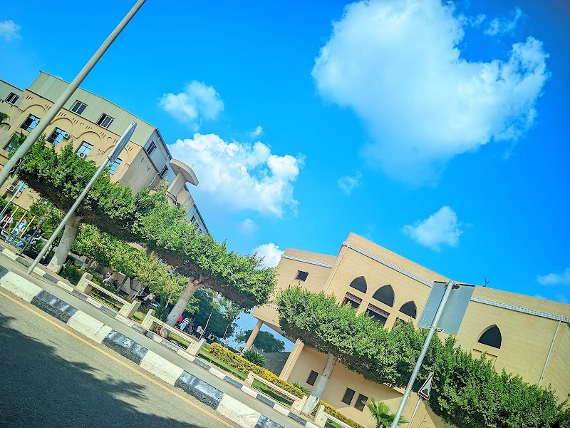 مجمع كليات جامعة طنطا سبرباي - صورة 2