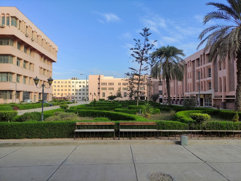 كلية الهندسة جامعة المنوفية - صورة 2