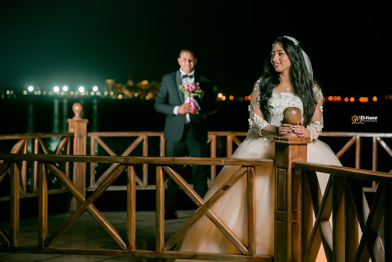El Nemr Studios - صورة 2
