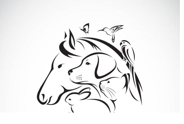 Vet Care Hospital
