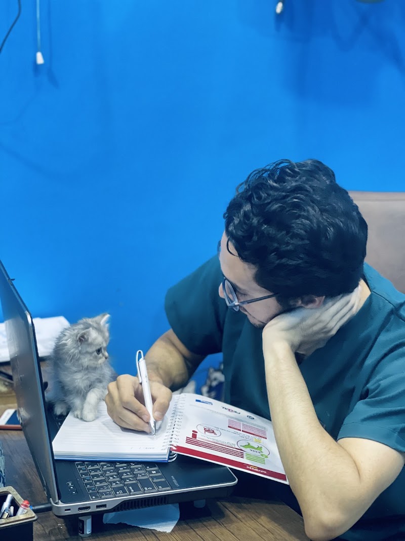 د. باسم مراد