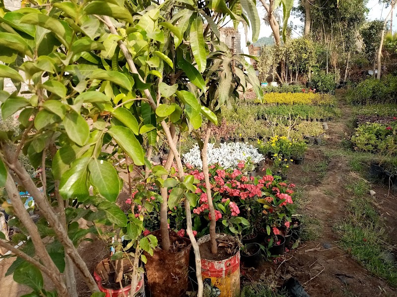 مشتل اكرم - صورة 2