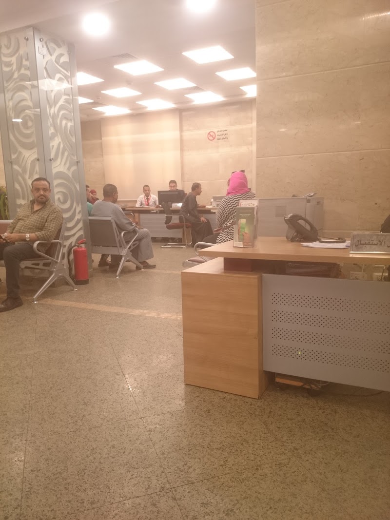 بنك مصر الأقصر ، لبيب حبشى - صورة 2
