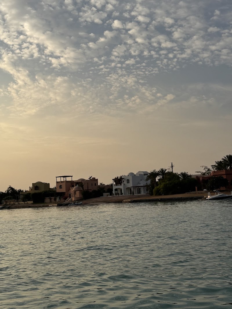 Red Sea Tours - Photo 3