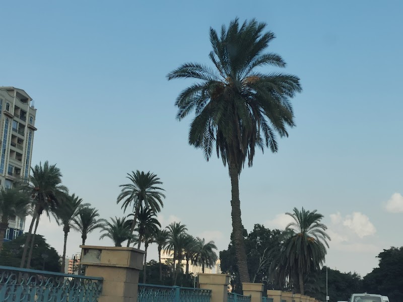 First District - Ismailia - Photo 2