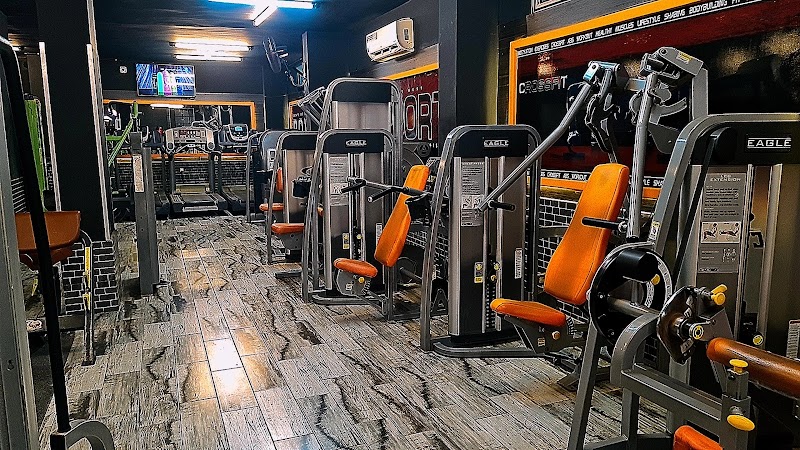 Gym life fitness