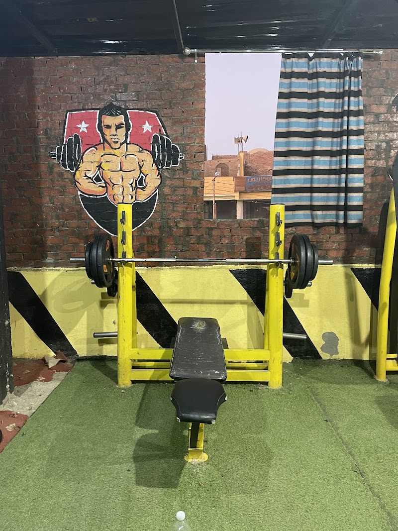 Lion Gym