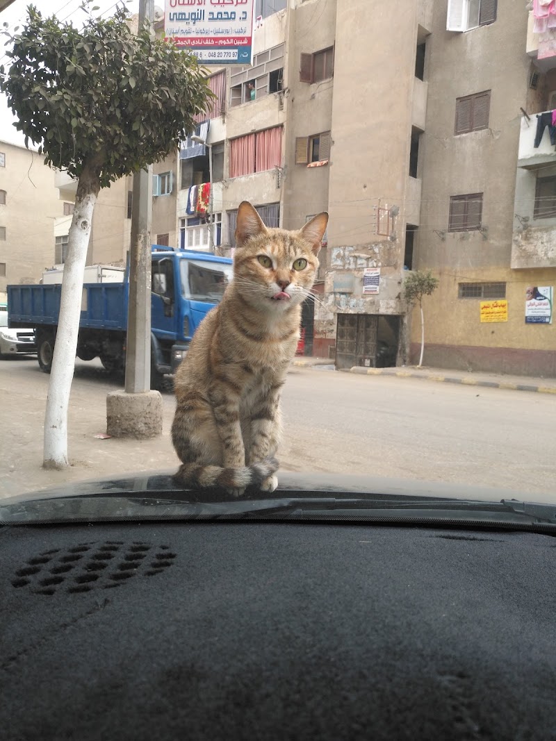 الإسلامية للأدوية البيطرية