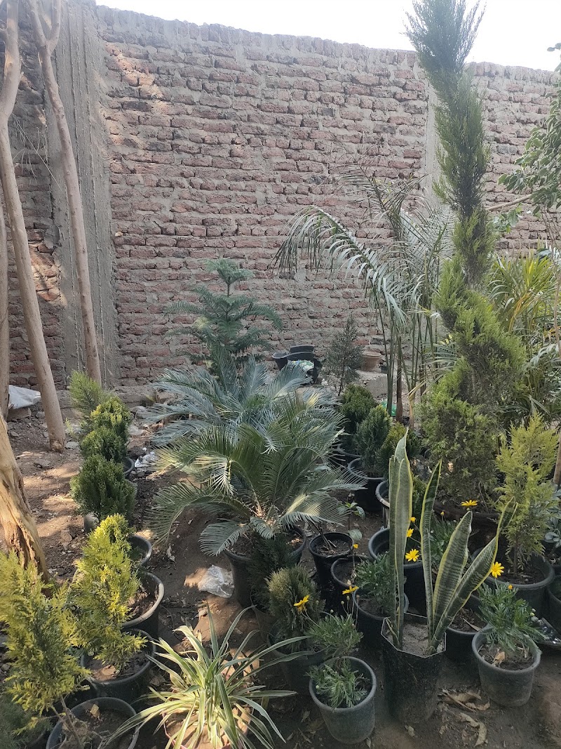 مشتل ابو يوسف الاقصر - صورة 1