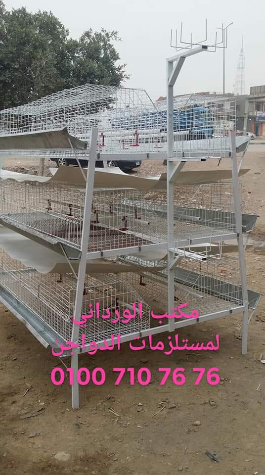 مكتب الورداني لمستلزمات الدواجن وتجهيز مزارع الدواجن والأعلاف - صورة 1