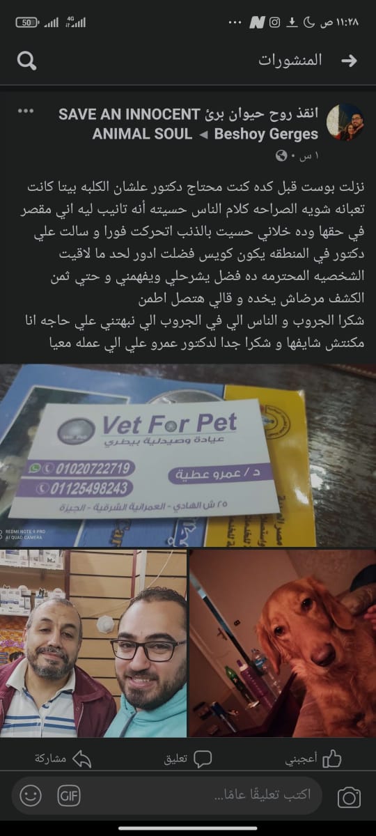 Vet For Pet - Photo 1