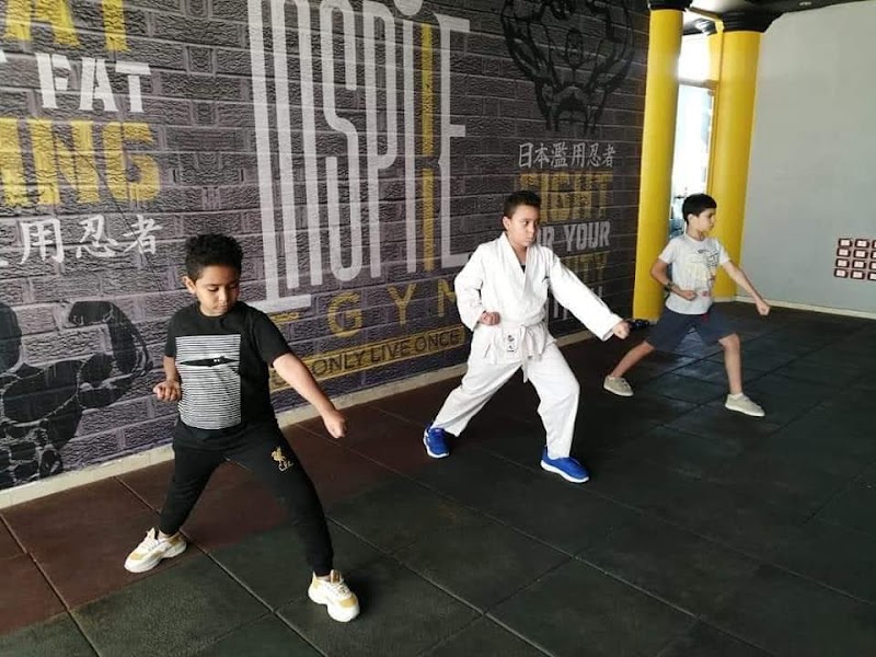 INSPIRE GYM - Photo 3