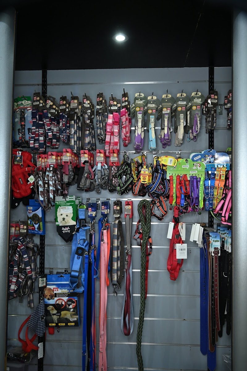 My Pet store