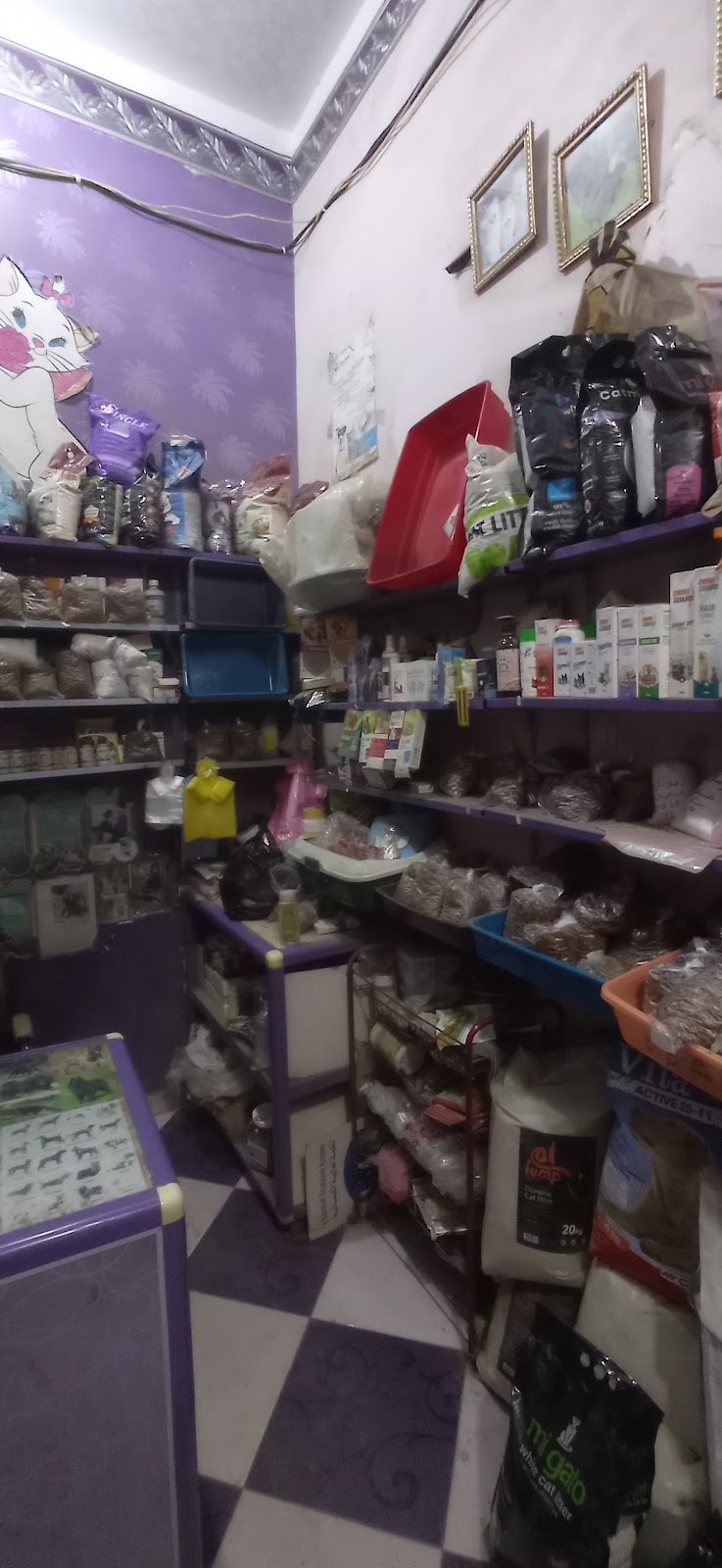 عيادة بارك للحيوانات الاليفة veterinary - صورة 3
