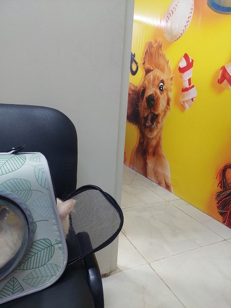 Fauna vet center - صورة 3