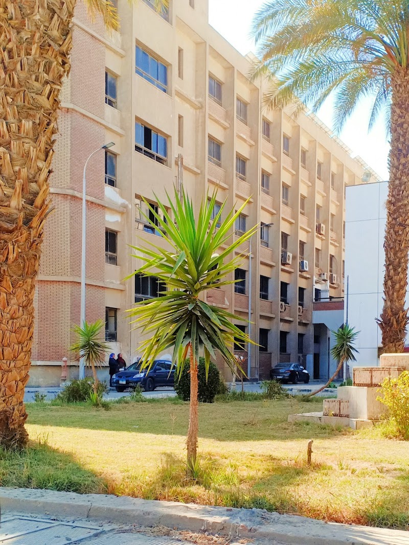 كلية التربية الرياضية جامعة المنيا - صورة 1